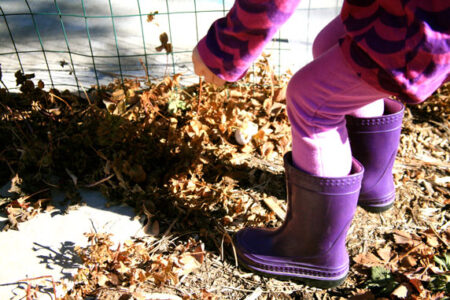 Setting Intentions: Starting Our Garden Image